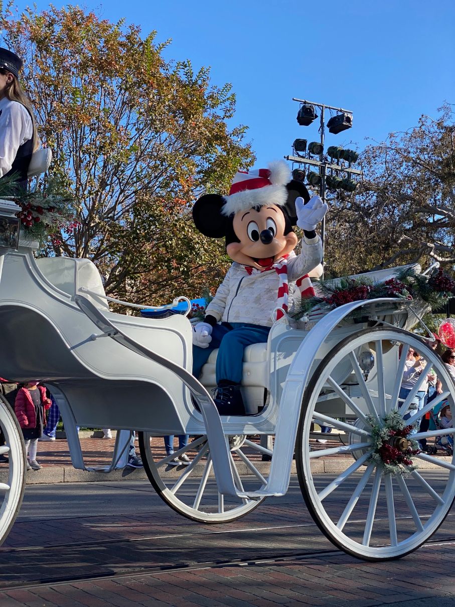 Disneyland Black Friday Deals Get Adults Tickets for Kid Prices